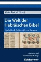 bokomslag Die Welt Der Hebraischen Bibel: Umfeld - Inhalte - Grundthemen
