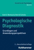 bokomslag Psychologische Diagnostik: Grundlagen Und Anwendungsperspektiven