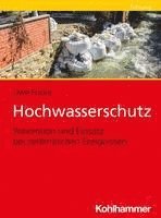 bokomslag Hochwasserschutz: Pravention Und Einsatz Bei Zeitkritischen Ereignissen