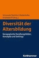 bokomslag Diversitat Der Altersbildung: Geragogische Handlungsfelder, Konzepte Und Settings