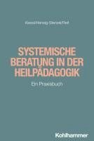 bokomslag Systemische Beratung in Der Heilpadagogik: Ein Praxisbuch