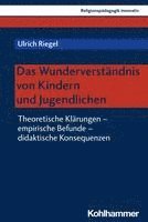 bokomslag Das Wunderverstandnis Von Kindern Und Jugendlichen: Theoretische Klarungen - Empirische Befunde - Didaktische Konsequenzen