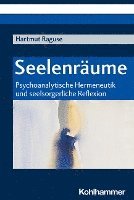 bokomslag Seelenraume: Psychoanalytische Hermeneutik Und Seelsorgerliche Reflexion