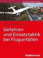 bokomslag Gefahren Und Einsatztaktik Bei Flugunfallen