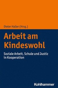 bokomslag Arbeit am Kindeswohl
