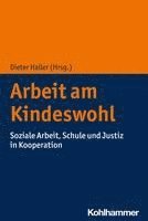 bokomslag Arbeit Am Kindeswohl: Soziale Arbeit, Schule Und Justiz in Kooperation
