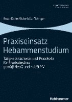 bokomslag Praxiseinsatz Hebammenstudium: Tatigkeitsnachweis Und Protokolle Fur Praxiseinsatze Gemass Hebg Und Hebstprv