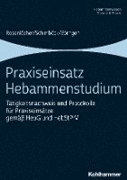 Praxiseinsatz Hebammenstudium: Tatigkeitsnachweis Und Protokolle Fur Praxiseinsatze Gemass Hebg Und Hebstprv 1