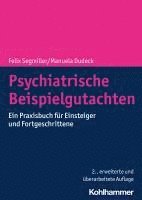 Felix Segmiller, Manuela Dudeck - Psychiatrische Beispielgutachten: Ein Praxisbuch Fur Einsteiger Und Fortgeschrittene, Häftad