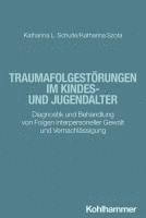 Katharina Schulte, Katharina Szota - Traumafolgestorungen Im Kindes- Und Jugendalter: Diagnostik Und Behandlung Von Folgen Interpersoneller Gewalt Und Vernachlassigung, Häftad