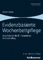 Evidenzbasierte Wochenbettpflege: Eine Arbeitshilfe Fur Hebammen Im Praxisalltag 1