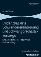 Evidenzbasierte Schwangerenbetreuung Und Schwangerschaftsvorsorge: Eine Arbeitshilfe Fur Hebammen Im Praxisalltag 1