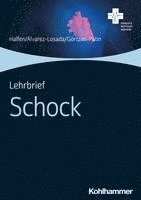 bokomslag Lehrbrief Schock