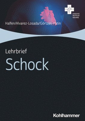 bokomslag Lehrbrief Schock