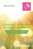 bokomslag Lebensmut Schenken Bei Suizidgedanken: Ein Ratgeber Fur Angehorige Und Professionelle Helfer