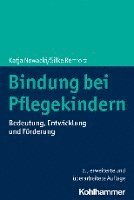 Bindung Bei Pflegekindern: Bedeutung, Entwicklung Und Forderung