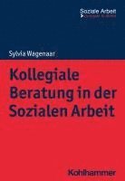 Kollegiale Beratung in Der Sozialen Arbeit 1