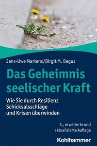 bokomslag Das Geheimnis Seelischer Kraft: Wie Sie Durch Resilienz Schicksalsschlage Und Krisen Uberwinden