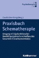 bokomslag Praxisbuch Schematherapie: Umgang Mit Dysfunktionalen Bewaltigungsmodi Und Aufbau Des Gesunden Erwachsenenmodus