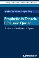 bokomslag Prophetie in Tenach, Bibel Und Qur'an: Konturen - Strukturen - Figuren