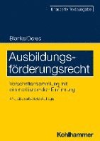 bokomslag Ausbildungsforderungsrecht: Vorschriftensammlung Mit Einer Erlauternden Einfuhrung