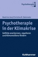 Psychotherapie in Der Klimakrise: Gefuhle Anerkennen, Regulieren Und Klimaresilienz Fordern 1