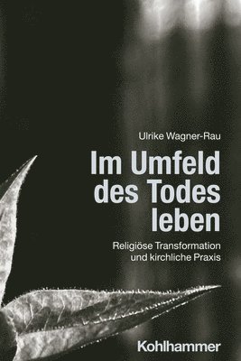 bokomslag Im Umfeld des Todes leben