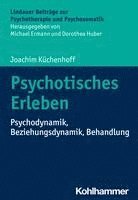 bokomslag Psychotisches Erleben: Psychodynamik, Beziehungsdynamik, Behandlung
