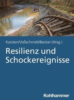 bokomslag Resilienz Und Schockereignisse