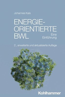 bokomslag Energieorientierte BWL