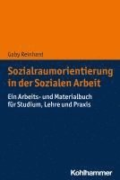 bokomslag Sozialraumorientierung in Der Sozialen Arbeit: Ein Arbeits- Und Materialbuch Fur Studium, Lehre Und PRAXIS