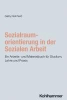 bokomslag Sozialraumorientierung in Der Sozialen Arbeit: Ein Arbeits- Und Materialbuch Fur Studium, Lehre Und PRAXIS