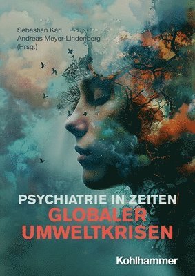 Sebastian Karl, Andreas Meyer-Lindenberg - Psychiatrie in Zeiten Globaler Umweltkrisen, Häftad