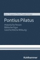 bokomslag Pontius Pilatus: Historische Person - Biblische Figur - Geschichtliche Wirkung