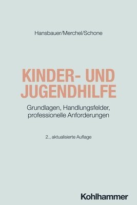 bokomslag Kinder- Und Jugendhilfe: Grundlagen, Handlungsfelder, Professionelle Anforderungen