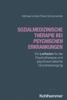 bokomslag Sozialmedizinische Therapie bei psychischen Erkrankungen