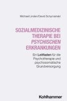 bokomslag Sozialmedizinische Therapie Bei Psychischen Erkrankungen: Ein Leitfaden Fur Die Psychotherapie Und Psychosomatische Grundversorgung