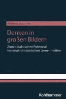 bokomslag Denken in großen Bildern
