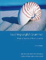 bokomslag Macmillan Books for Teachers / Teaching English Grammar