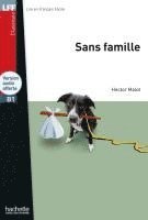 bokomslag Sans famille
