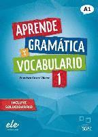 bokomslag Aprende gramática y vocabulario 1 - Nueva edición