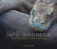 bokomslag INTO INDONESIA. Southern Territories