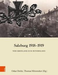 bokomslag Salzburg 1918-1919
