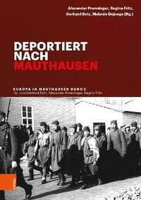 bokomslag Deportiert nach Mauthausen