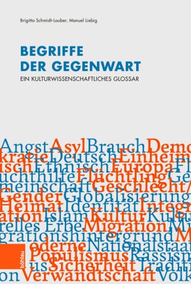 Brigitta Schmidt-Lauber, Manuel Liebig - Begriffe der Gegenwart, Häftad