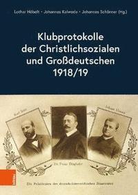 bokomslag Klubprotokolle der Christlichsozialen und Grodeutschen 1918/19