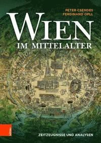 bokomslag Wien im Mittelalter