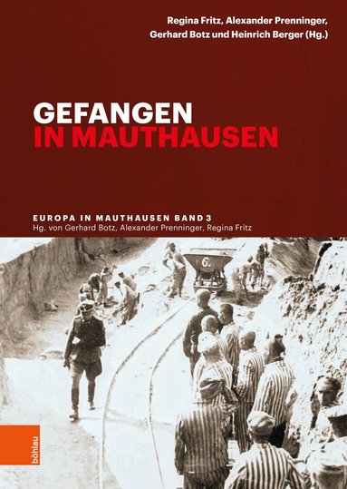 Regina Fritz, Alexander Prenninger, Gerhard Botz, Heinrich Berger - Gefangen in Mauthausen, Inbunden