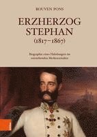 bokomslag Erzherzog Stephan (1817-1867): Biografie Eines Habsburgers Im Entstehenden Medienzeitalter