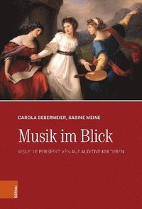 bokomslag Musik im Blick